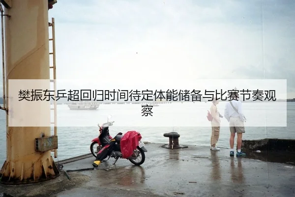 樊振东乒超回归时间待定体能储备与比赛节奏观察